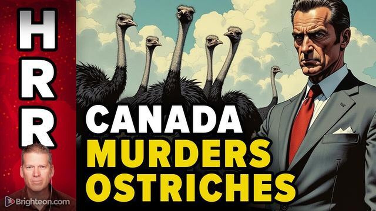 Canada MURDERS the OSTRICHES... and youre next MAYBE ?/ MURDERING PEOPLE THROUGH MAID
