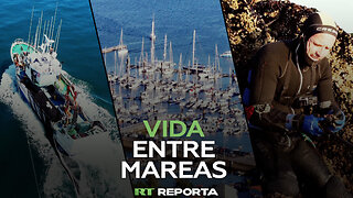 Vida entre mareas