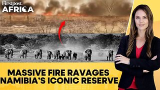 Namibia Wildfire Devastates Etosha, One-Third of National Park Destroyed | Firstpost Africa | N18G