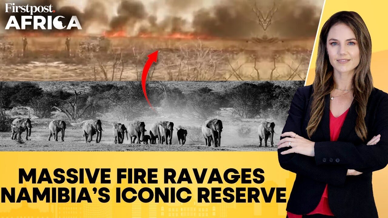 Namibia Wildfire Devastates Etosha, One-Third of National Park Destroyed | Firstpost Africa | N18G