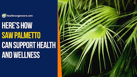 Here's how Saw Palmetto can support health and wellness