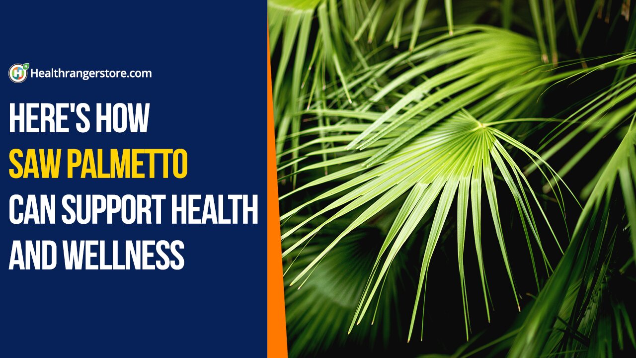 Here's how Saw Palmetto can support health and wellness