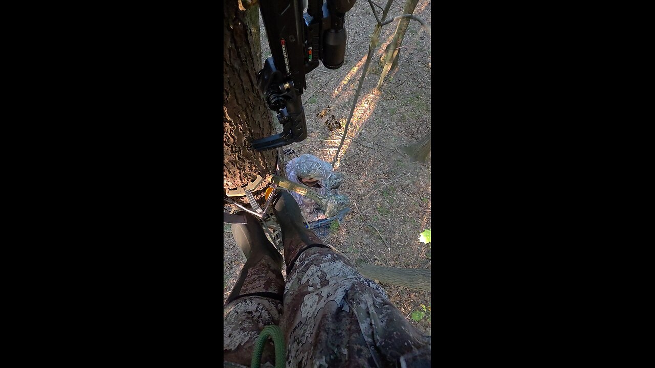 On The Hunt