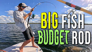 BEST Budget Bottom Fishing Rod | Ugly Stick Tiger Elite REVIEW