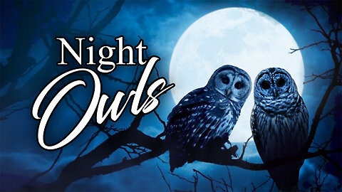 Night Owls - Sunday, February 16