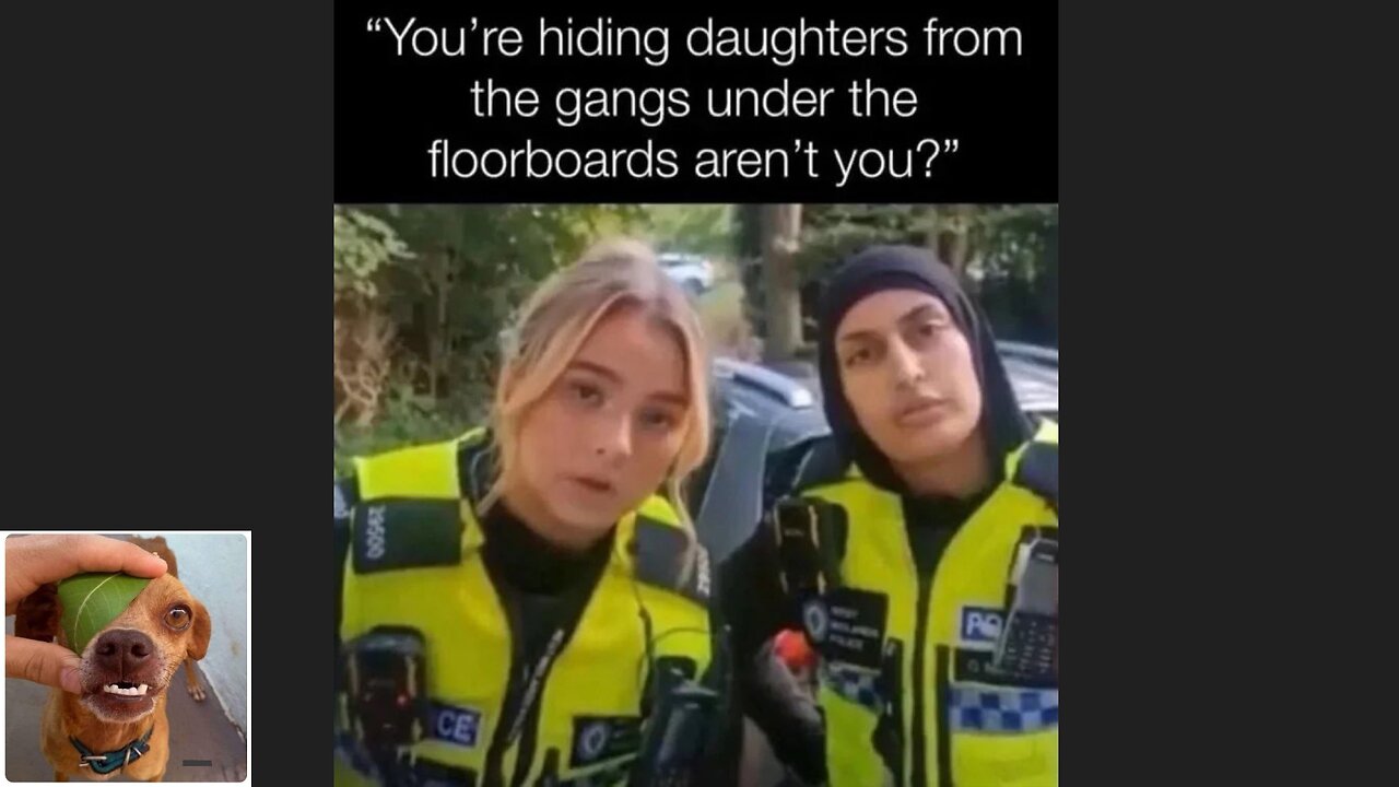 Memes That Will 99.0527% Make You Laugh. (e751)