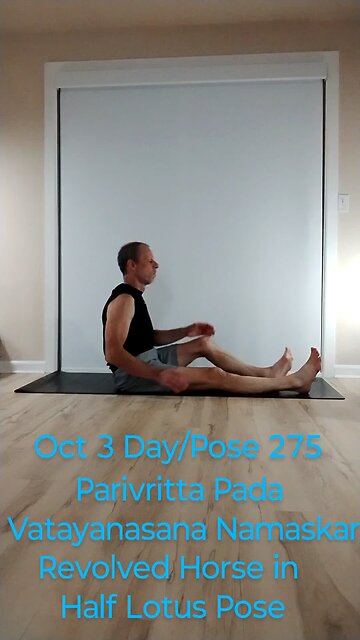 Parivritta Pada Vatayanasana Namaskar / Revolved Horse in Half Lotus Pose