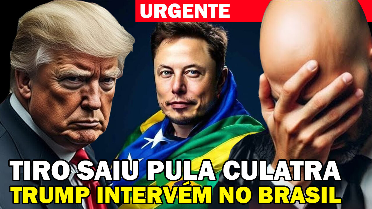 ALEXANDRE DÁ GRANDE TIRO NO PÉ E ENTRA EM APUROS - TRUMP E MUSK PREPARAM CONTRA G0LPE HISTÓRICO