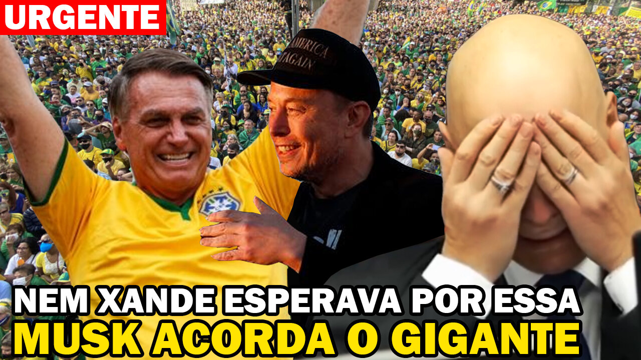 ACONTECE O QUE XANDE MAIS TEMIA - MUSK CONFIRMA ATO PARA DERRUBAR O BARBA JUNTO COM BOLSO! ACABOU