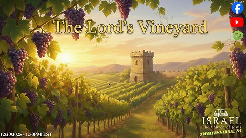 The Lord's Vineyard