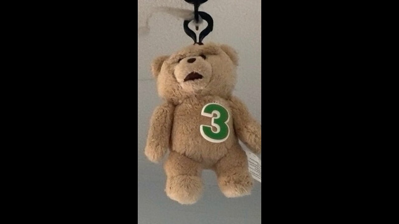 Teddy 3