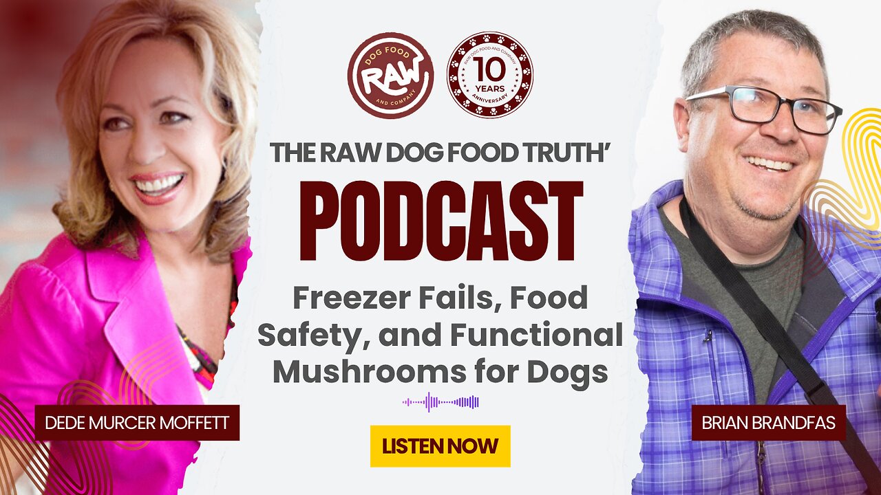 Freezer Fails, Food Safety, and Functional Mushrooms for Dogs | The Raw Dog Food Truth Podcast