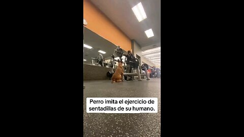 En Forma