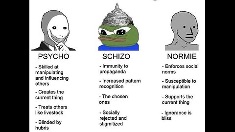 Psycho's, Normies, & Schizo's/Conspiracy Theorists