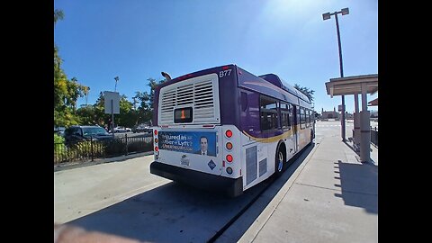 Glendale Beeline 2012 New Flyer C40LFR B77