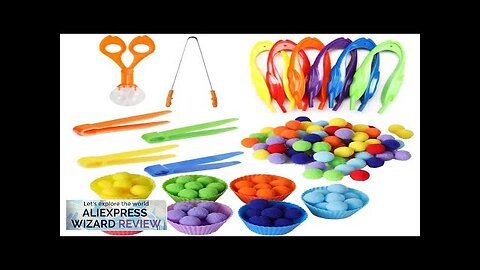 Children Fine Motor Skills Learning Counting Rainbow Pompoms Sorting Games Montessori Early Review