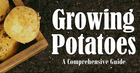 The Superfood for Energy, Heart Health & Glowing Skin! 🔥 #RedPotatoes #Supe