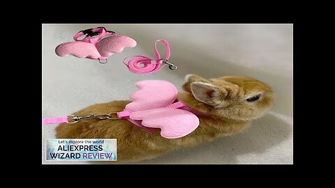 Cute Angel Wing Pet Rabbit Harness and Leash for Cats Rabbits Personalized Review