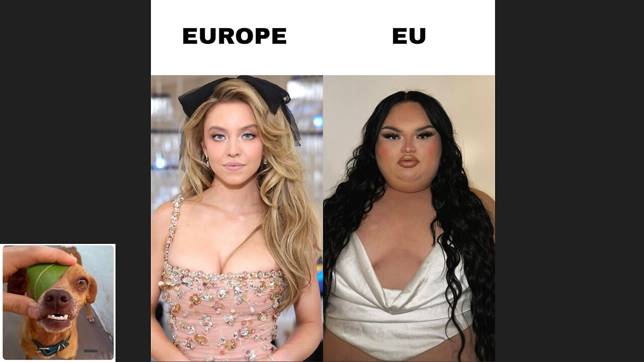 Memes That Will 99.0543% Make You Laugh. (e767)