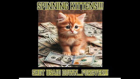 Spinning Kittens and Other Atrocities Paid for by Tax Dollars