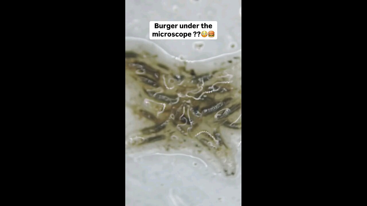 burger under the microsop