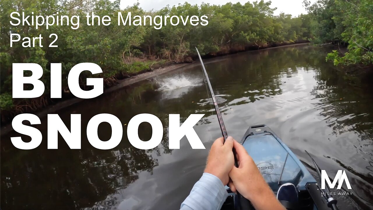 Skipping the Mangroves Part 2 - BIG SNOOK