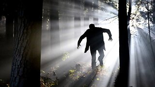 Scary movies may fuel nightmares and fear of darkness: survey
