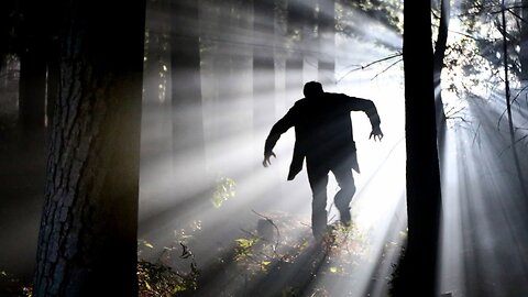 Scary movies may fuel nightmares and fear of darkness: survey
