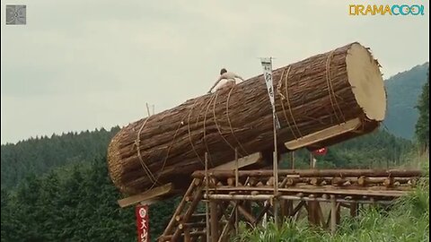 Wood Job