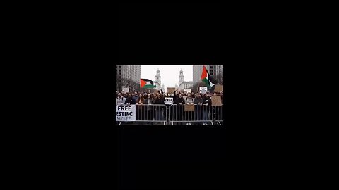 Free Palestine - Funny.