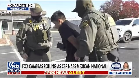 Inside 'Operation Charlotte's Web' as federal agents confronted