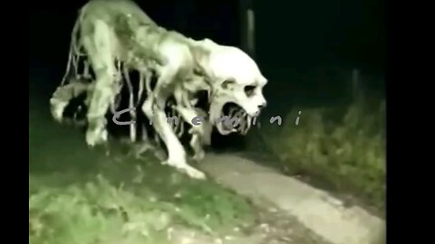 live indiana wildlife shorts reels Lion Tiger Crocodile Kangaroo trending wildlife funny danger