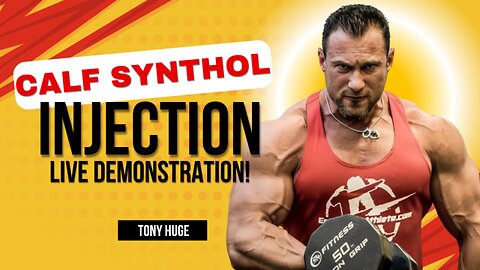 calf synthol injection