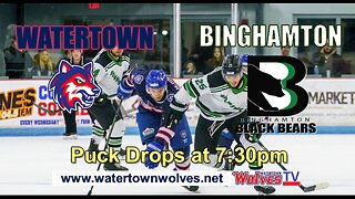 Black Bears v Wolves 1-17-26