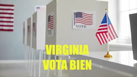 Virginia Universal background check destruido en corte