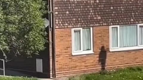 😱👻 3 Disturbing Horror Videos | #horror #horrortok #creepy #scary #scared | TheHauntingHour