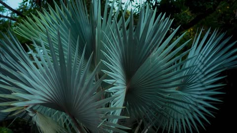 Working Late – Lofi House Session