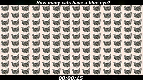 Cat Puzzle: How many cats have a blue eye?