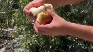 Uzbek Pilaf Burger — East Meets West in One Epic Bite!