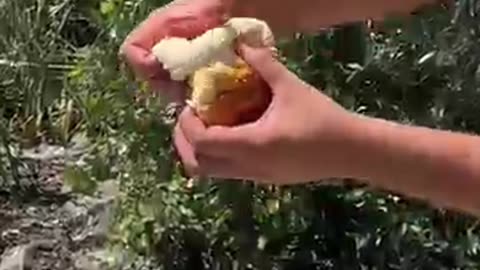 Uzbek Pilaf Burger — East Meets West in One Epic Bite!
