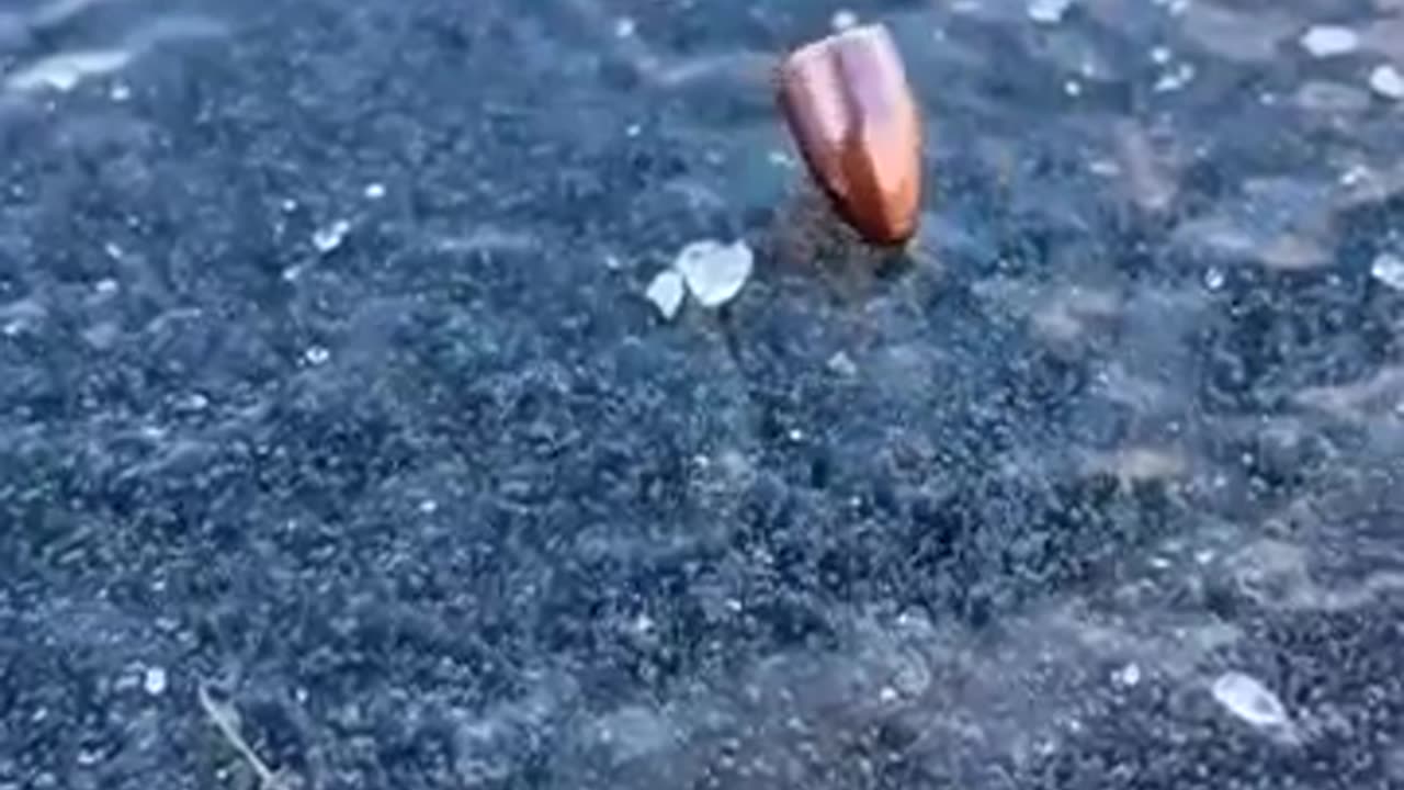 🤯✨ You Won't Believe This Epic Bullet Shot On Ice! | FeedMyCuriosity