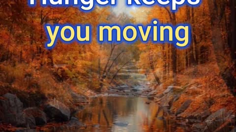 Stay Hungry, Stay Humble