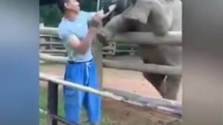Hope this puts a smile on your face