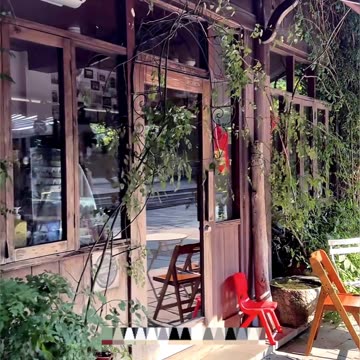 My Daily Life Vlog Short Clip Series Part 295 📷 My New Vlog 📷