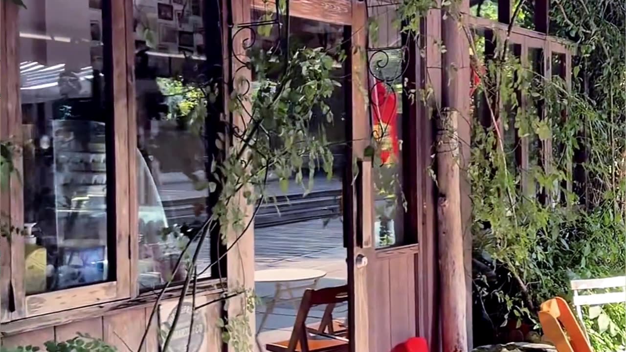 My Daily Life Vlog Short Clip Series Part 295 📷 My New Vlog 📷