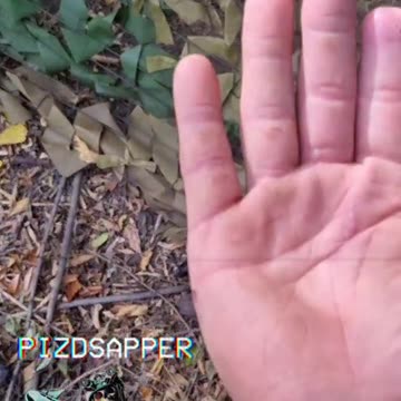 Ukraine war ombat footage 10/16/25