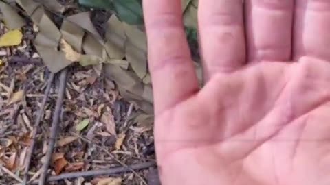 Ukraine war ombat footage 10/16/25