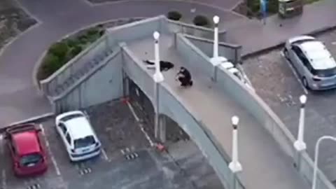 drone captured footage of a terrorist being shot