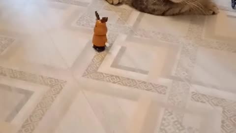 The cats will win the robot wars for us 😂