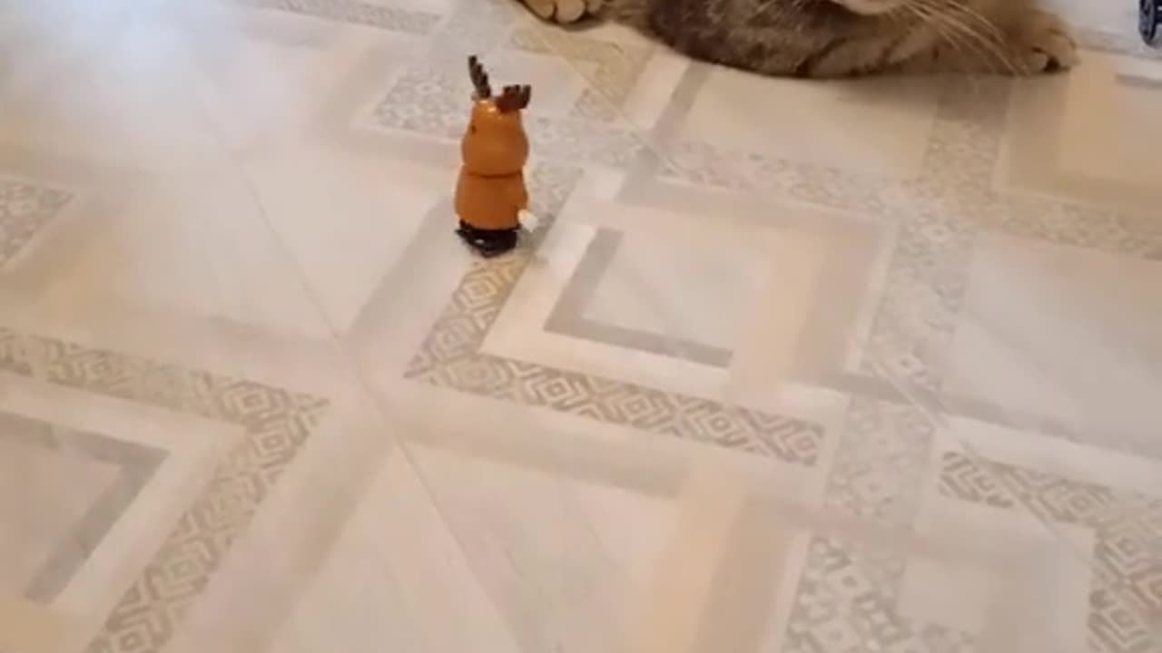 The cats will win the robot wars for us 😂